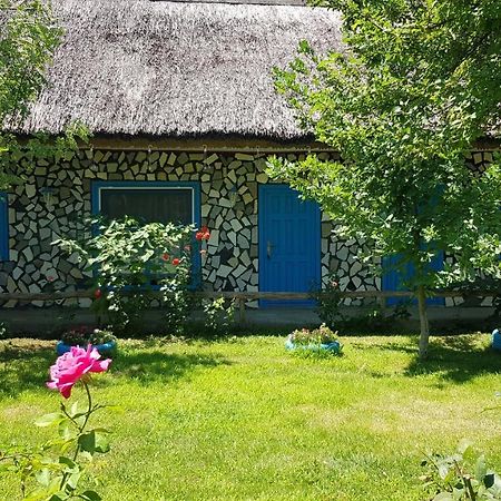 Pensiunea Iubire De Delta " La Traian " Murighiol Kültér fotó