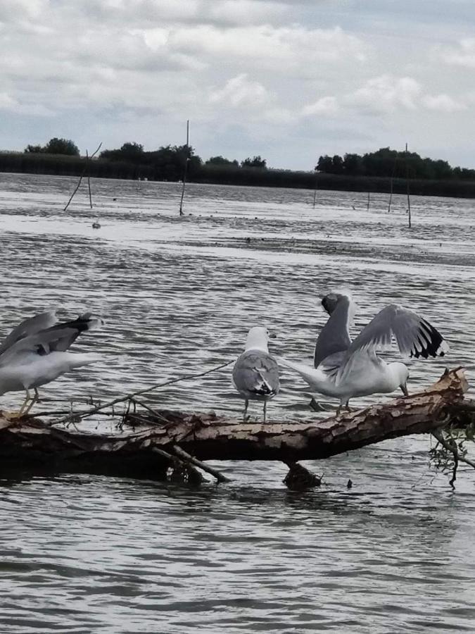Pensiunea Iubire De Delta " La Traian " Murighiol Kültér fotó